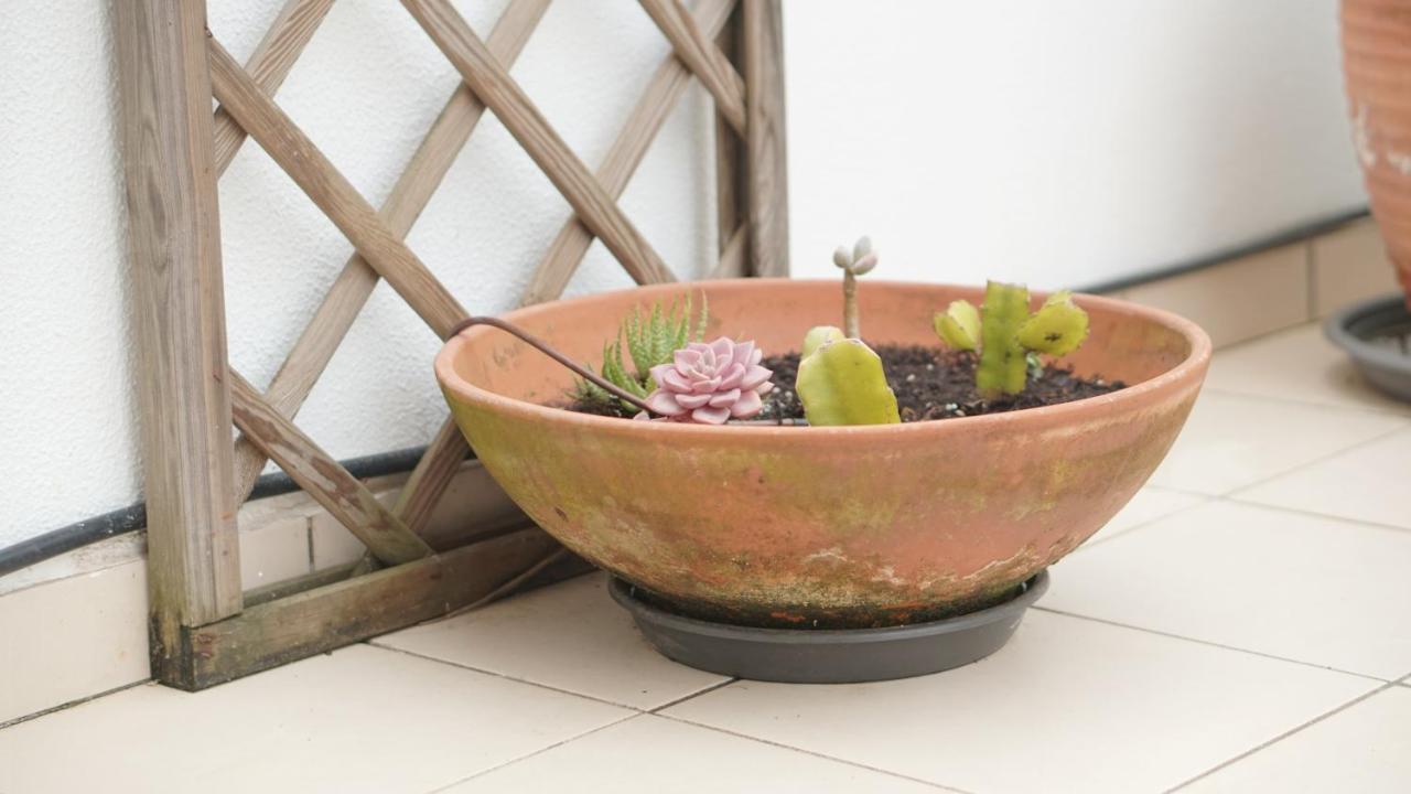 דירות נאזרה Terraco Dos Rabujas מראה חיצוני תמונה